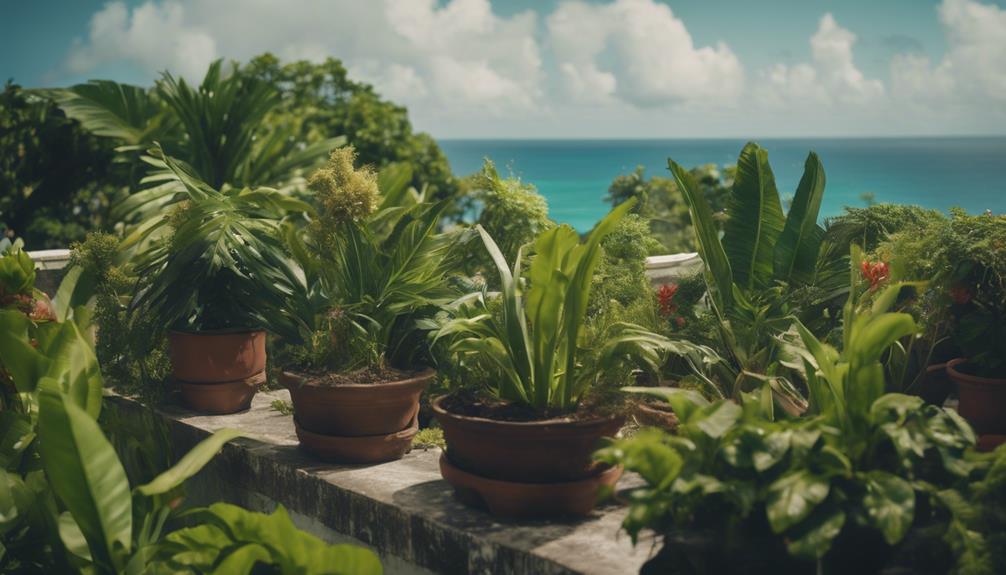 toits verts en martinique