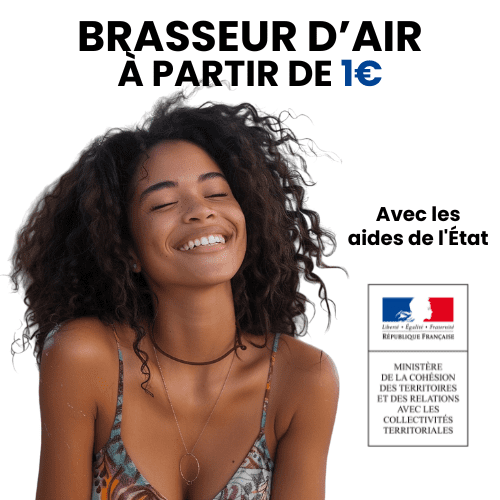 brasseur d'air à 1 euro